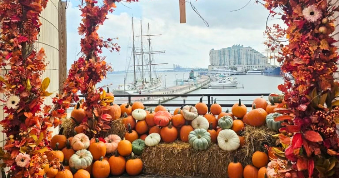 Cityside Pumpkin Patch returns to Liberty Point in Philadelphia with 10,000 pumpkins