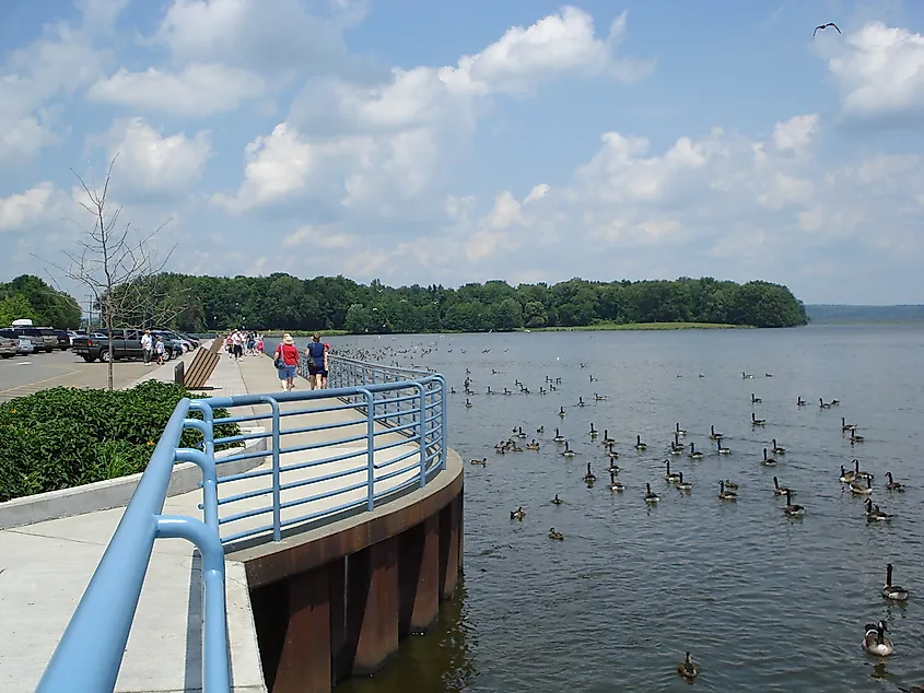 Open water on Pymatuning Reservoir in northwestern Pennsylvania.