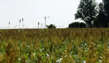 Farm Union Ban Violates Pennsylvania Constitution, Lawsuit Says