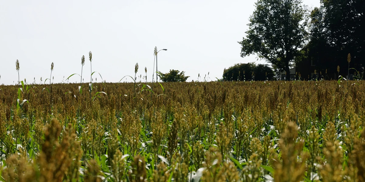 Farm Union Ban Violates Pennsylvania Constitution, Lawsuit Says