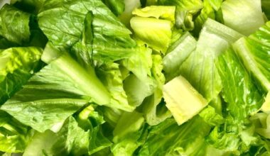Latest On PA Cyclospora Outbreak As 240+ Cases Reported