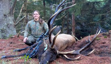 'This Bull Was Just Incredible.' Pennsylvania Hunter's 428-Inch Elk Is Likely the New State Record