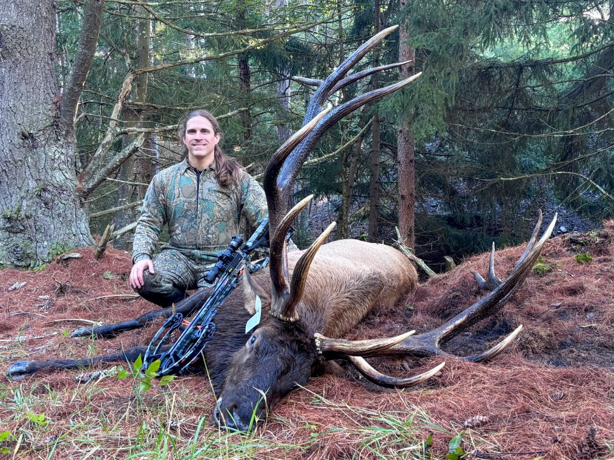 'This Bull Was Just Incredible.' Pennsylvania Hunter's 428-Inch Elk Is Likely the New State Record