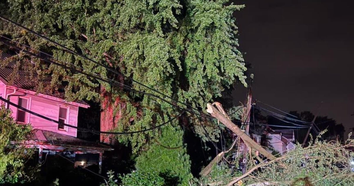 Strong storms topple trees, knock out power, close schools across Philadelphia region