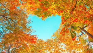 This Week In Easton: Farmer's Market, Community Meetings, Labor Day Schedule