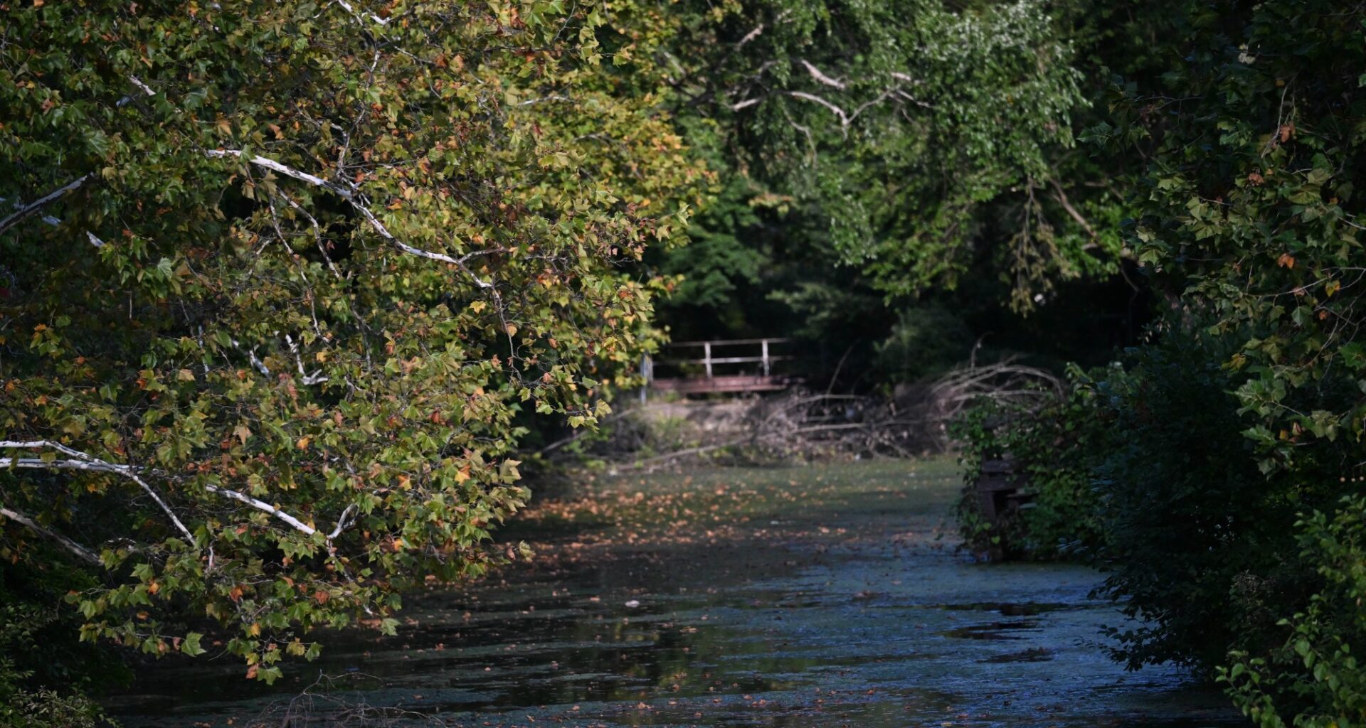 Allentown weather; Cooler temperatures kick off fall in the Lehigh Valley
