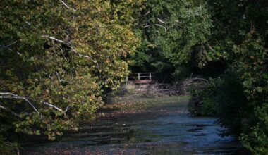 Allentown weather; Cooler temperatures kick off fall in the Lehigh Valley