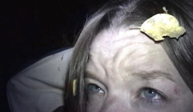 Found Footage 90s Nightmare ERIE Debuts October 1 – Horror Society