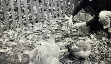 Author writes a love letter to her western Pennsylvania farm
