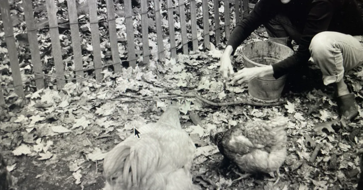Author writes a love letter to her western Pennsylvania farm