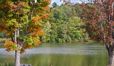 Pennsylvania is nature's classroom: Forests provide colorful lesson on fall foliage
