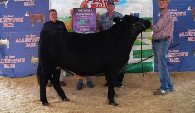 Lehigh County 4-H members shine at the Great Allentown Fair – Lehigh Valley Press