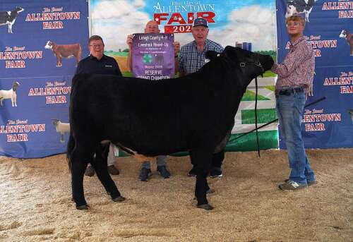 Lehigh County 4-H members shine at the Great Allentown Fair – Lehigh Valley Press