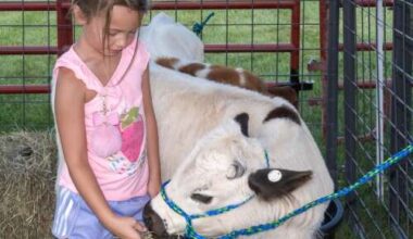 Festival offers family fun – Lehigh Valley Press