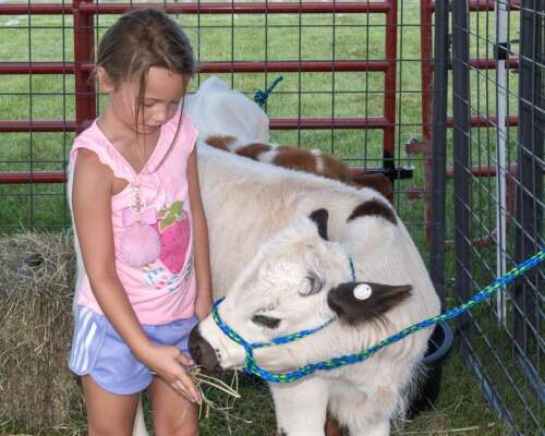 Festival offers family fun – Lehigh Valley Press