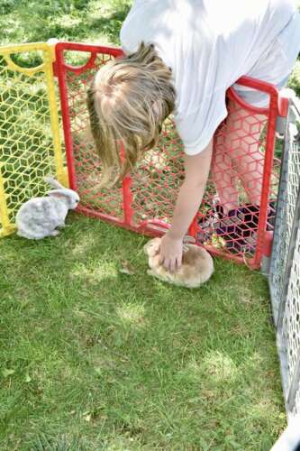 Field Day with BHA – Lehigh Valley Press