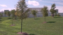 At the NTT facility, a cooling system circulates roughly a large swimming pool's worth of water through a closed-loop system designed to keep temperatures under control.