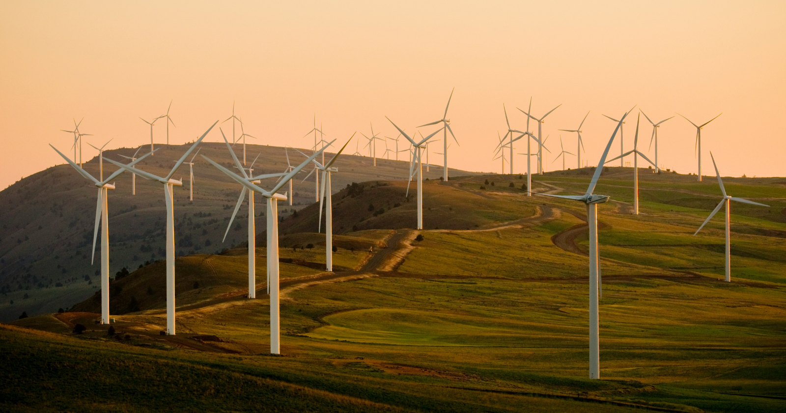 A Pennsylvania wind farm raised the blade cut-in speed on 12 of its 23 turbines to 5.0 and 6.5 meters per second through a single fall migration, and researchers still counted 32 fresh bat carcasses at those same turbines over 75 days of daily searches