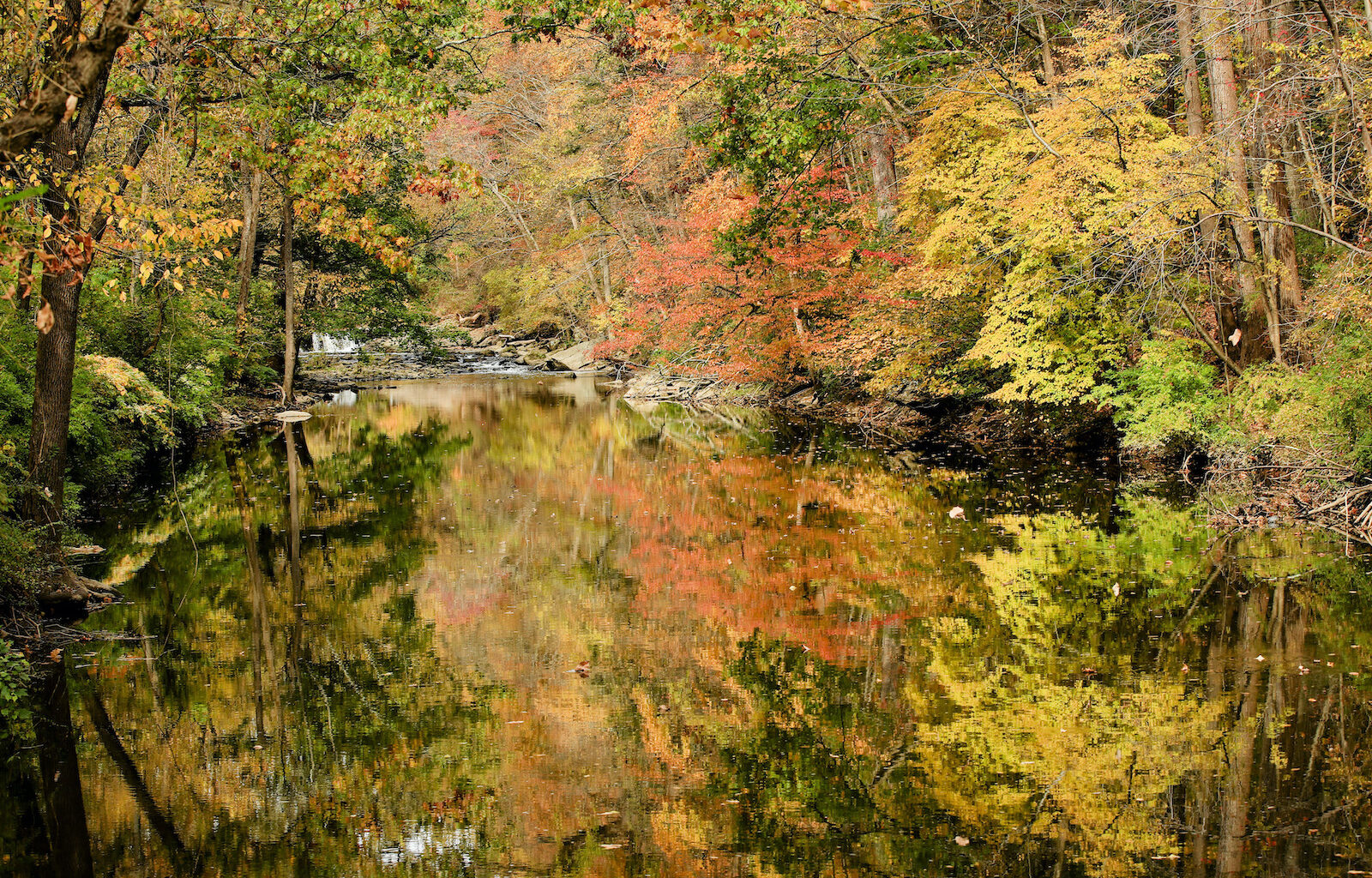 Things to do this weekend in Pa., N.J., and Del.