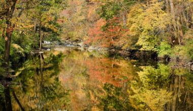 Things to do this weekend in Pa., N.J., and Del.