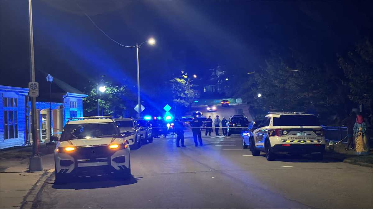 Man shot in Pittsburgh's East Hills neighborhood