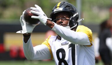 Steelers Add Training Camp Star to WR Room