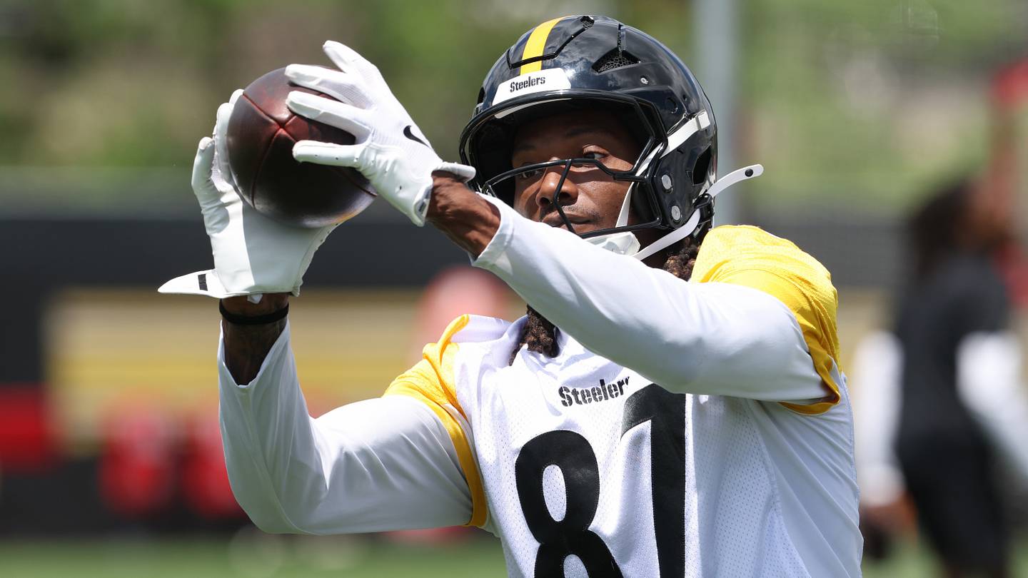 Steelers Add Training Camp Star to WR Room