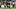 Steelers QB Aaron Rodgers (Black Jersey, Number 8) is pressured by Colts DE Laiatu Latu (White Jersey, Number 97) Steelers QB Aaron Rodgers (Black Jersey, Number 8) is pressured by Colts DE Laiatu Latu (White Jersey, Number 97)