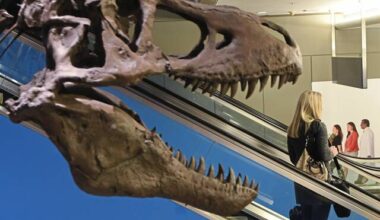 Pittsburgh International Airport’s T. rex to disappear, for now