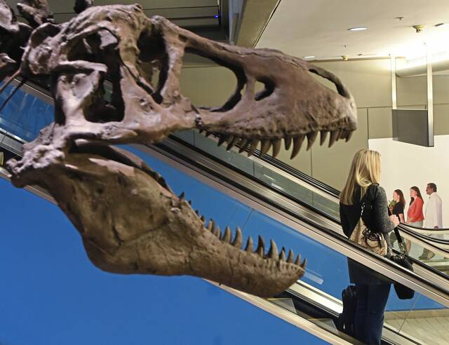 Pittsburgh International Airport’s T. rex to disappear, for now