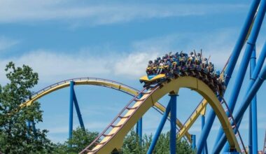 Nitro roller coaster at Six Flags in New Jersey temporarily closed after deadly Georgia incident