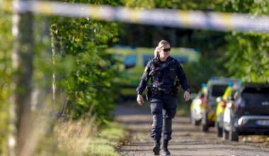 2 people killed in Norway after shooter opens fire on hunting party | Ap-world