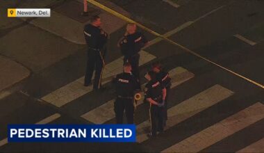 Pedestrian struck, killed by vehicle in Newark, Delaware