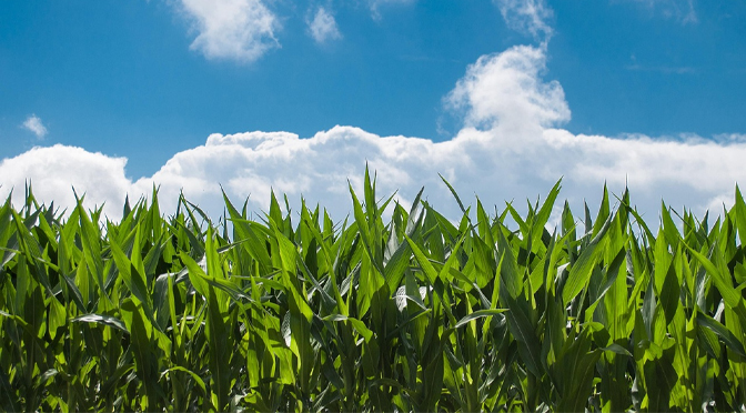 Additional Details on 3 Lehigh County Farms Preserved