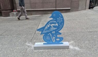 Birds3 2
