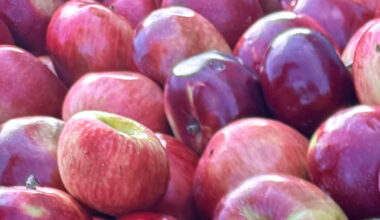 8 things grocery stores can help you do with apples