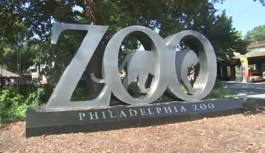 Philadelphia Zoo expands popular 'Boo at the Zoo' event to entire month of October