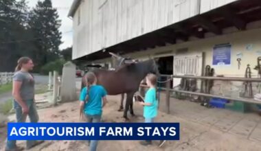 Pennsylvania farms look to agritourism and farm stays for additional income