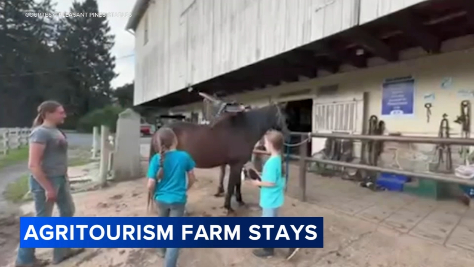 Pennsylvania farms look to agritourism and farm stays for additional income
