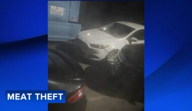 Trucker snaps photos of meat thieves during $40K heist in Philadelphia