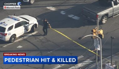 Man dies after being struck by car in Philadelphia's Morrell Park section