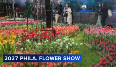 'Iconic': Theme unveiled for 2027 Philadelphia Flower Show at the Pennsylvania Convention Center