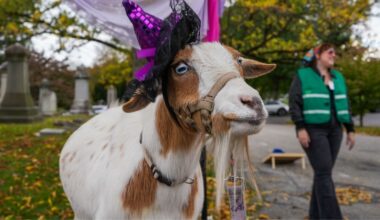 The annual 'GOAToberfest' supports wellness programs in Philly