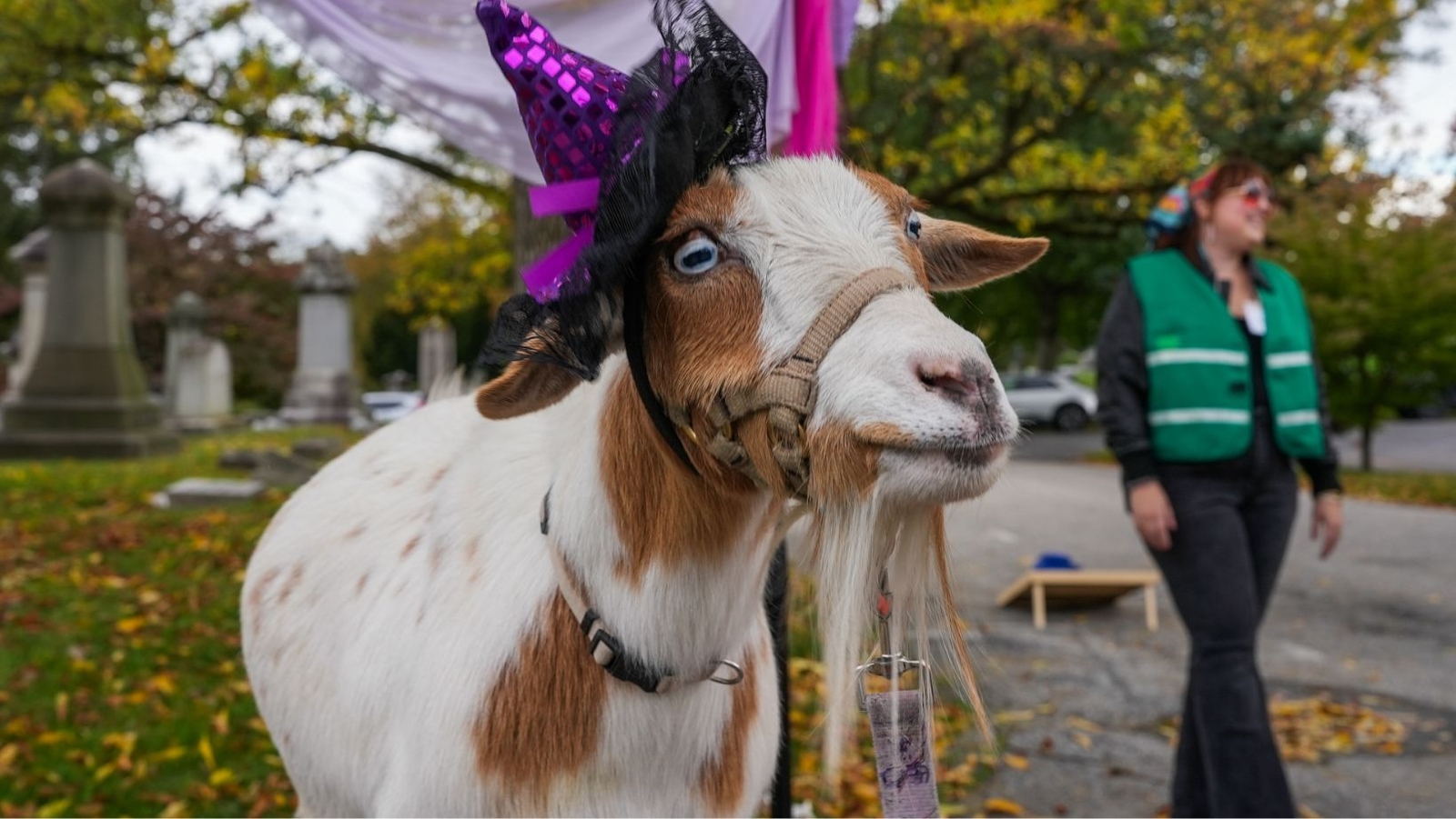 The annual 'GOAToberfest' supports wellness programs in Philly