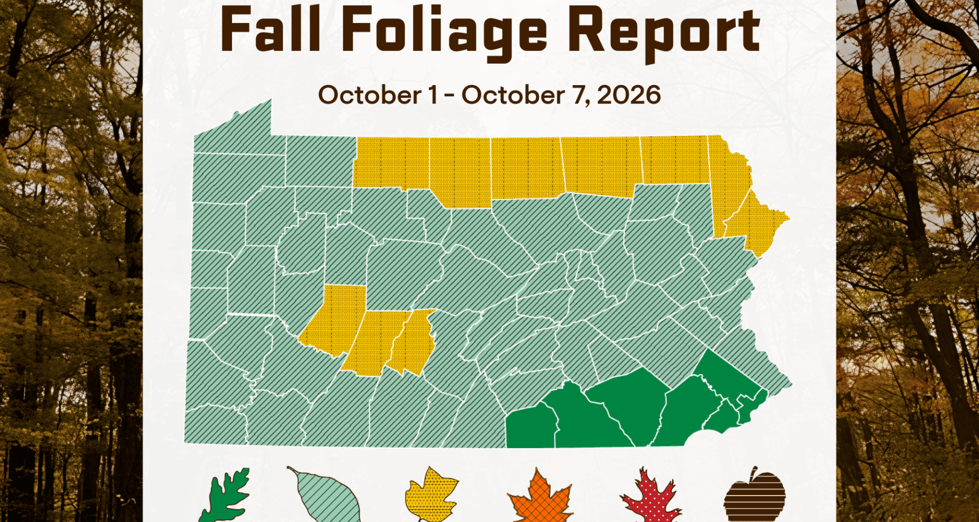 2026 Fall Foliage: Report for October 1-7 | Department of Conservation and Natural Resources