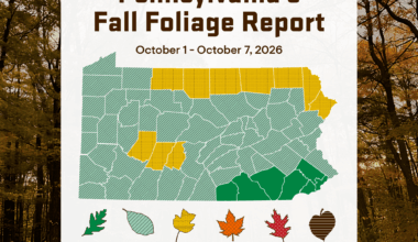 2026 Fall Foliage: Report for October 1-7 | Department of Conservation and Natural Resources