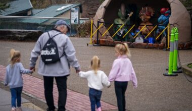 Pelicans have escaped from the Pittsburgh Zoo