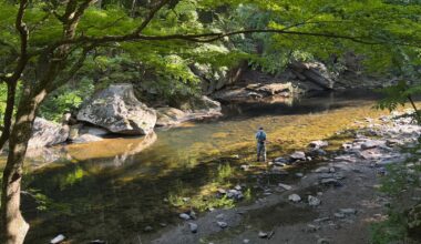 Pennsylvania officials have issued a &ldquo;do not eat&rdquo; advisory for the Wissahickon Creek basin after finding unhealthy levels of &ldquo;forever chemicals&rdquo; in sampled fish tissue. A Nov. 5 public meeting is set at the Schuylkill Center for Environmental Education.