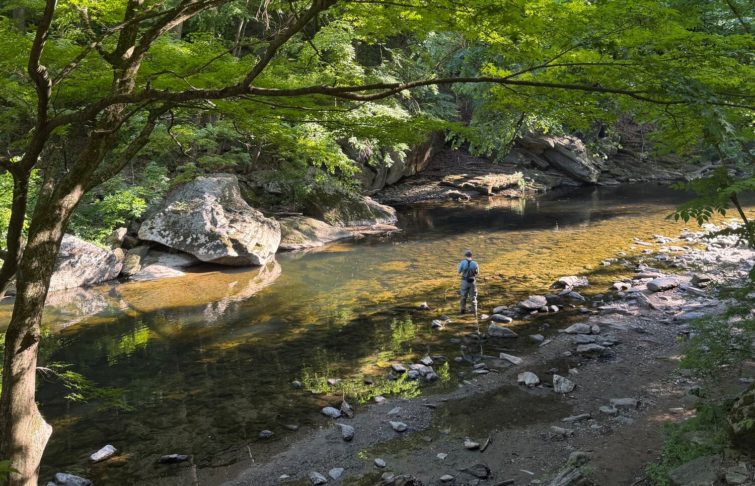 Pennsylvania officials have issued a &ldquo;do not eat&rdquo; advisory for the Wissahickon Creek basin after finding unhealthy levels of &ldquo;forever chemicals&rdquo; in sampled fish tissue. A Nov. 5 public meeting is set at the Schuylkill Center for Environmental Education.