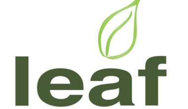 LEAF Tree Festival - Events
